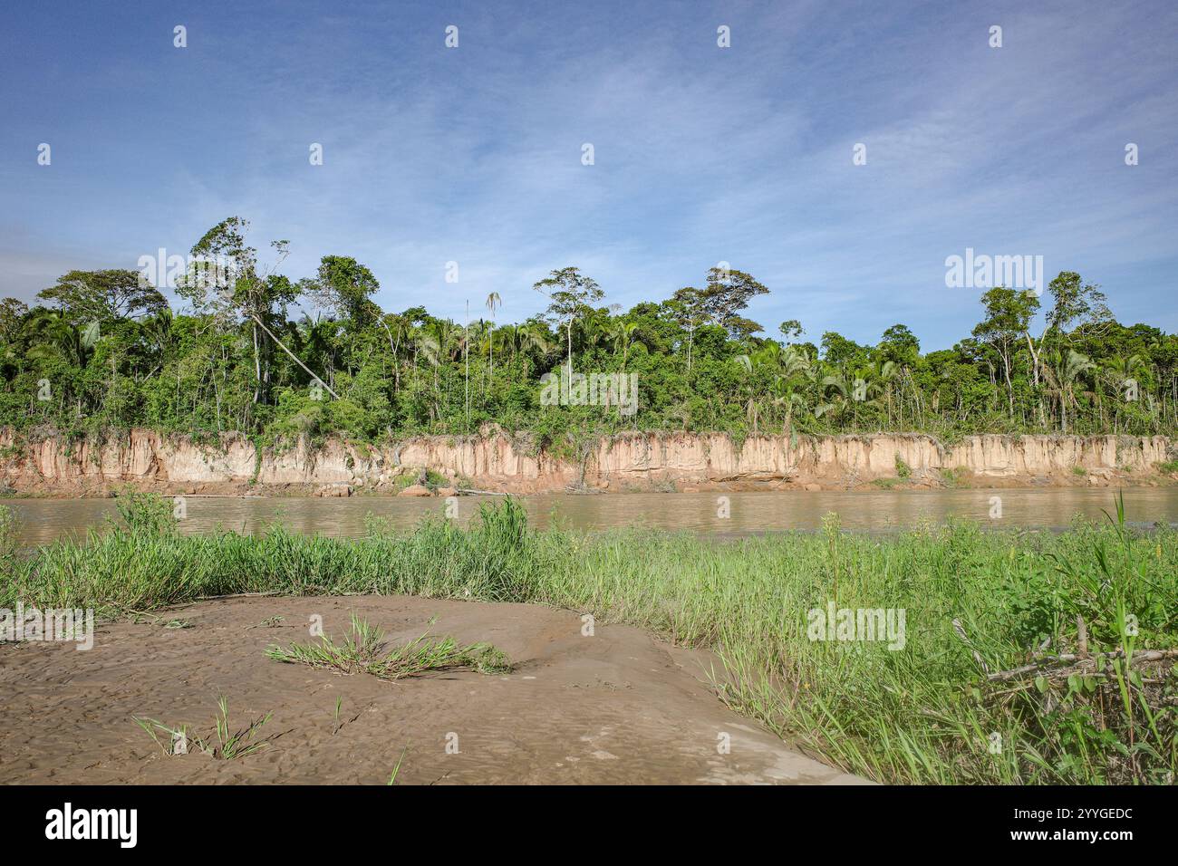 Tambopata, Perù - 25 novembre 2024: Paesaggi della foresta pluviale amazzonica lungo il fiume Tambopata Foto Stock