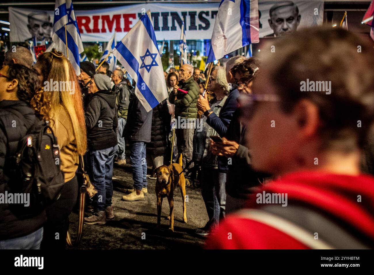 Un cane si trova accanto al suo proprietario durante una protesta a Tel Aviv sabato 21 dicembre 2024. Sabato, migliaia di persone sono scese per le strade di Israele chiedendo all'attuale governo guidato dal primo ministro Benjamin Netanyahu di raggiungere un accordo con Hamas. Foto di Eyal Warshavsky. Foto Stock