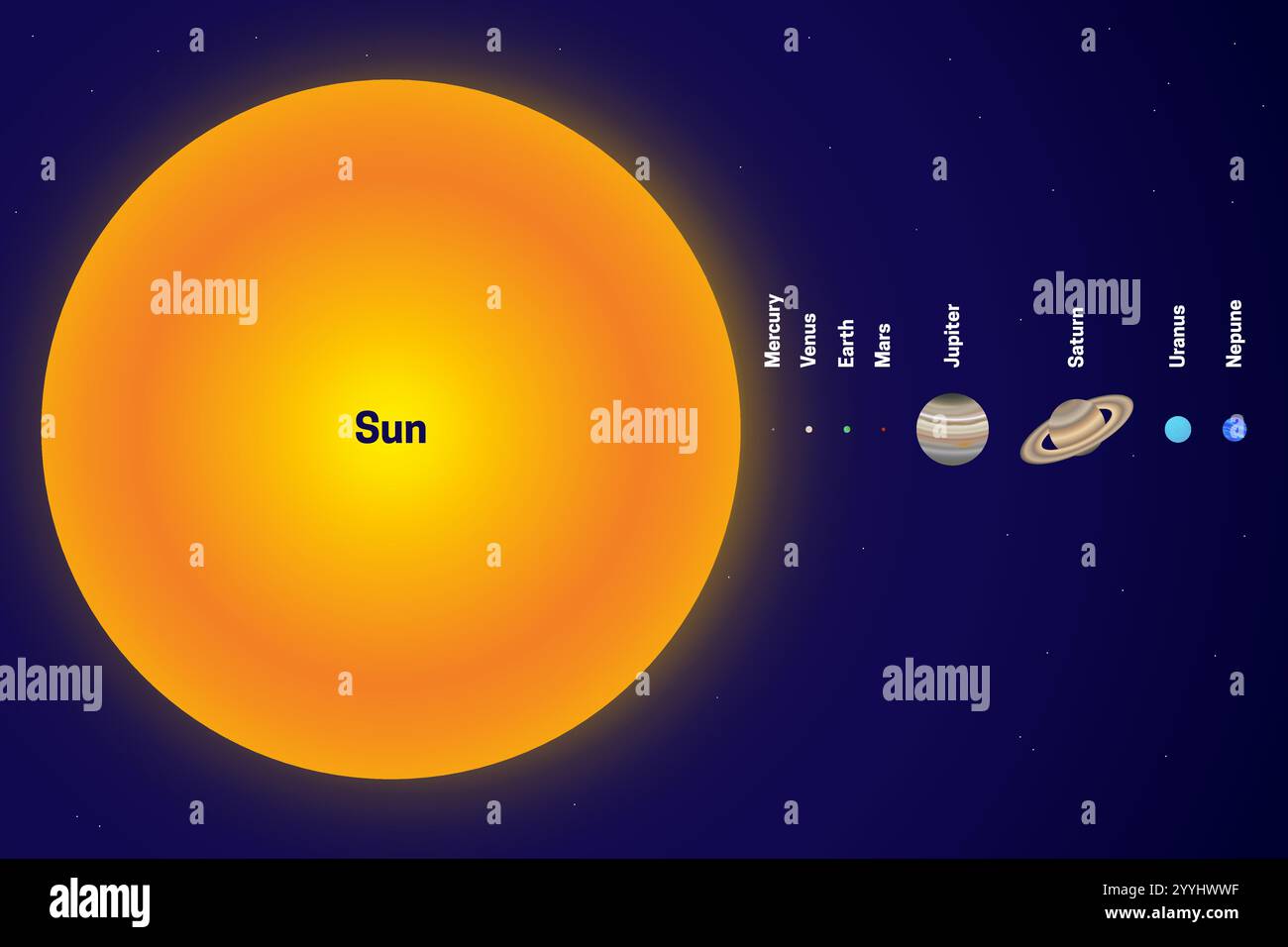 Proporzioni dimensioni Sole e pianeta o illustrazione piatta di confronto del sistema solare. Le dimensioni del Sole rispetto ai pianeti realistico colorato il Illustrazione Vettoriale