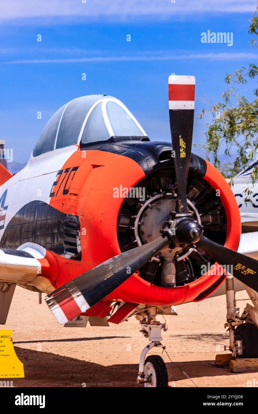 Un piccolo aereo rosso e bianco con il numero 310 sul lato. L'aereo è parcheggiato a terra e ha un'elica nera Foto Stock