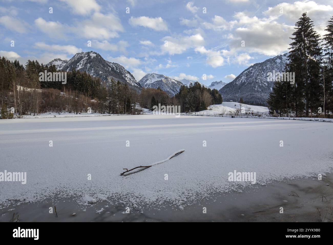 Brughiera, stagno di brughiera, ghiacciato, coperto di neve, dietro le Alpi Allgaeu, Oberstdorf, Oberallgaeu, Allgaeu, Baviera, Germania, Europa Foto Stock