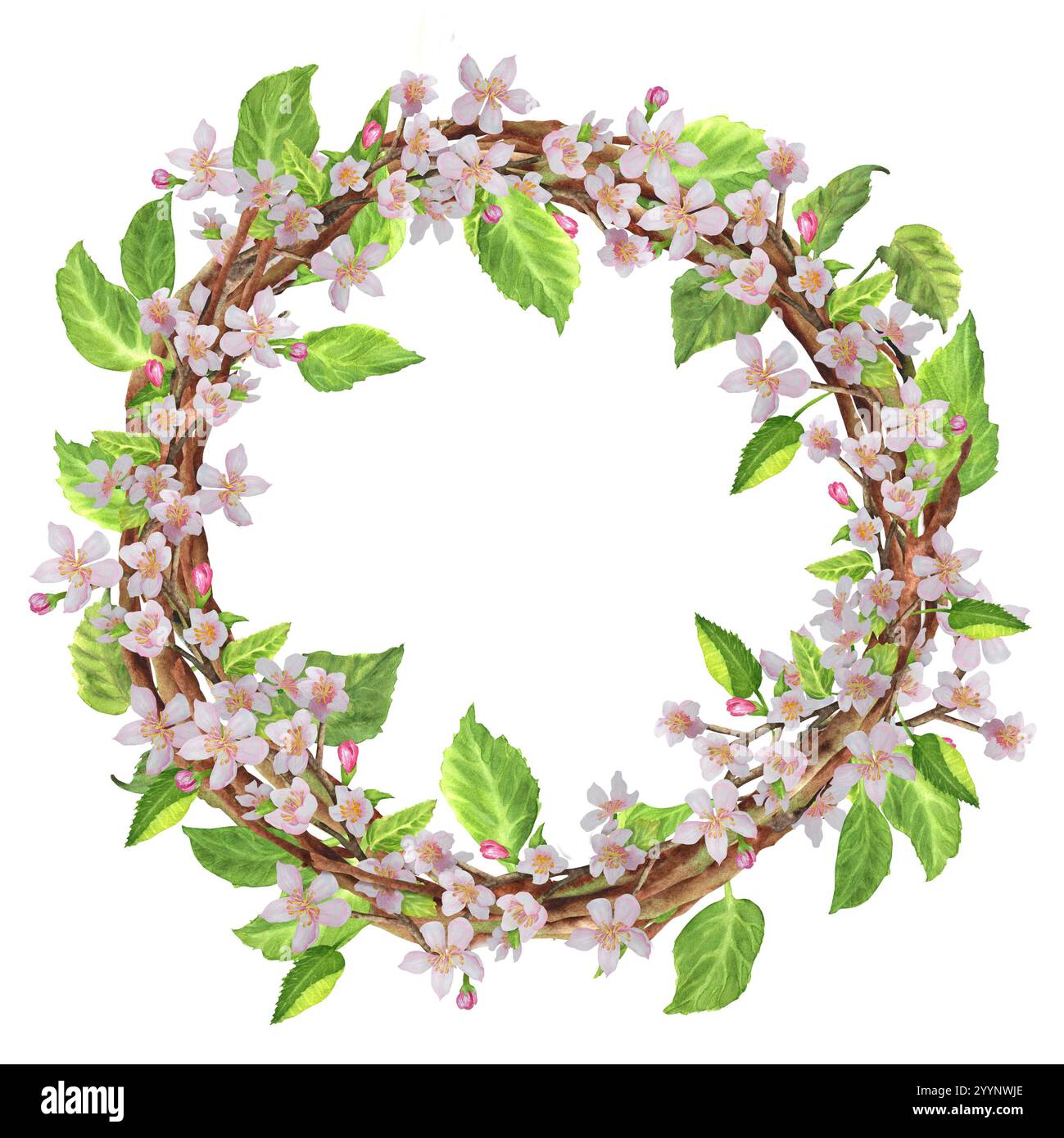 Splendida corona di giardini primaverili con rami di meli. Fiori bianchi e foglie verdi. Illustrazione ad acquerello disegnata a mano. Per cartoline, stationar Foto Stock