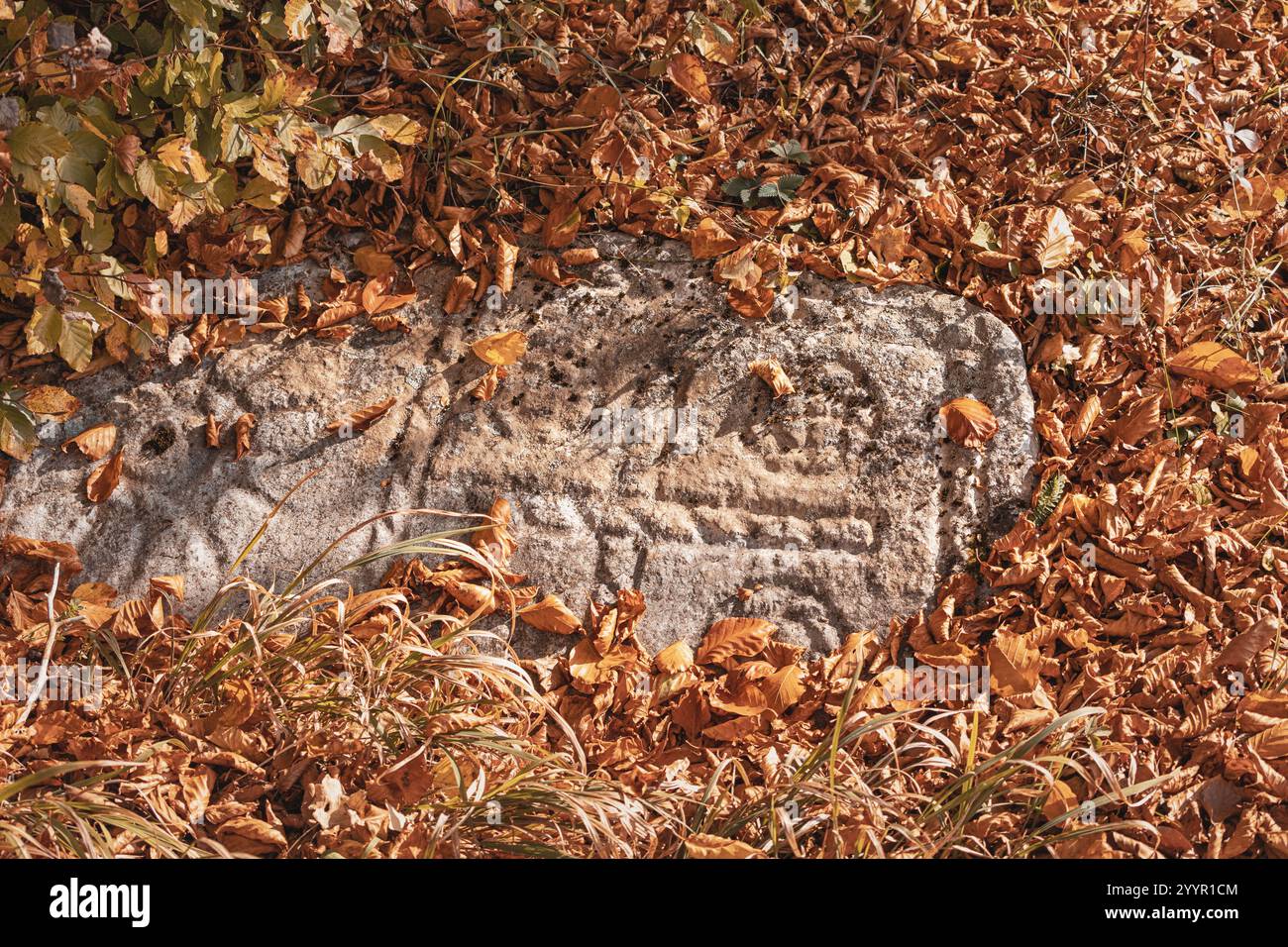 Misteriose incisioni su una superficie rocciosa si mescolano con il fogliame autunnale, creando una scena di intrighi storici Foto Stock
