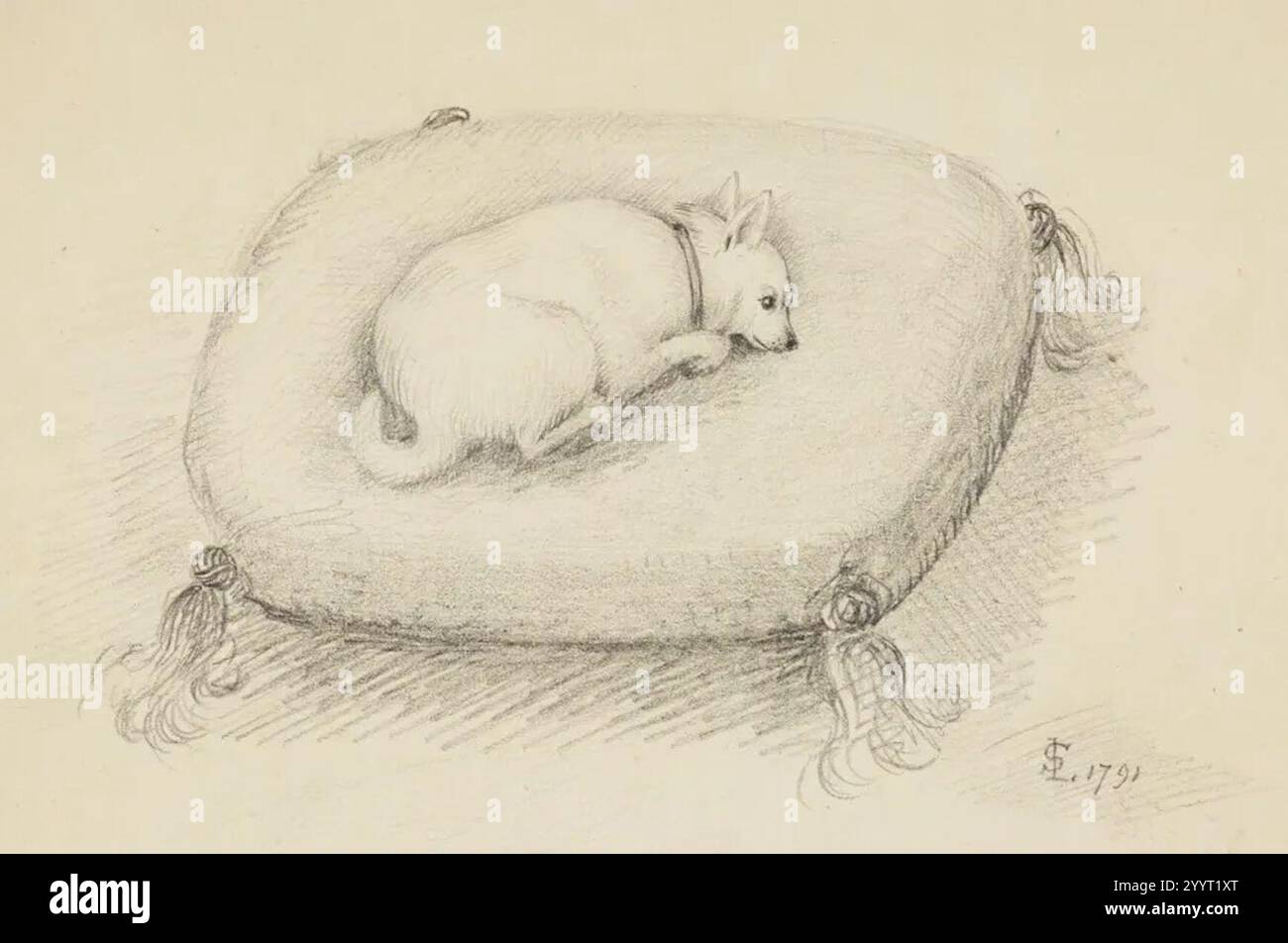 Cane disteso su un cuscino - Samuel Lysons (1791). Foto Stock Cane disteso su un cuscino - Samuel Lysons (1791). Foto Stock