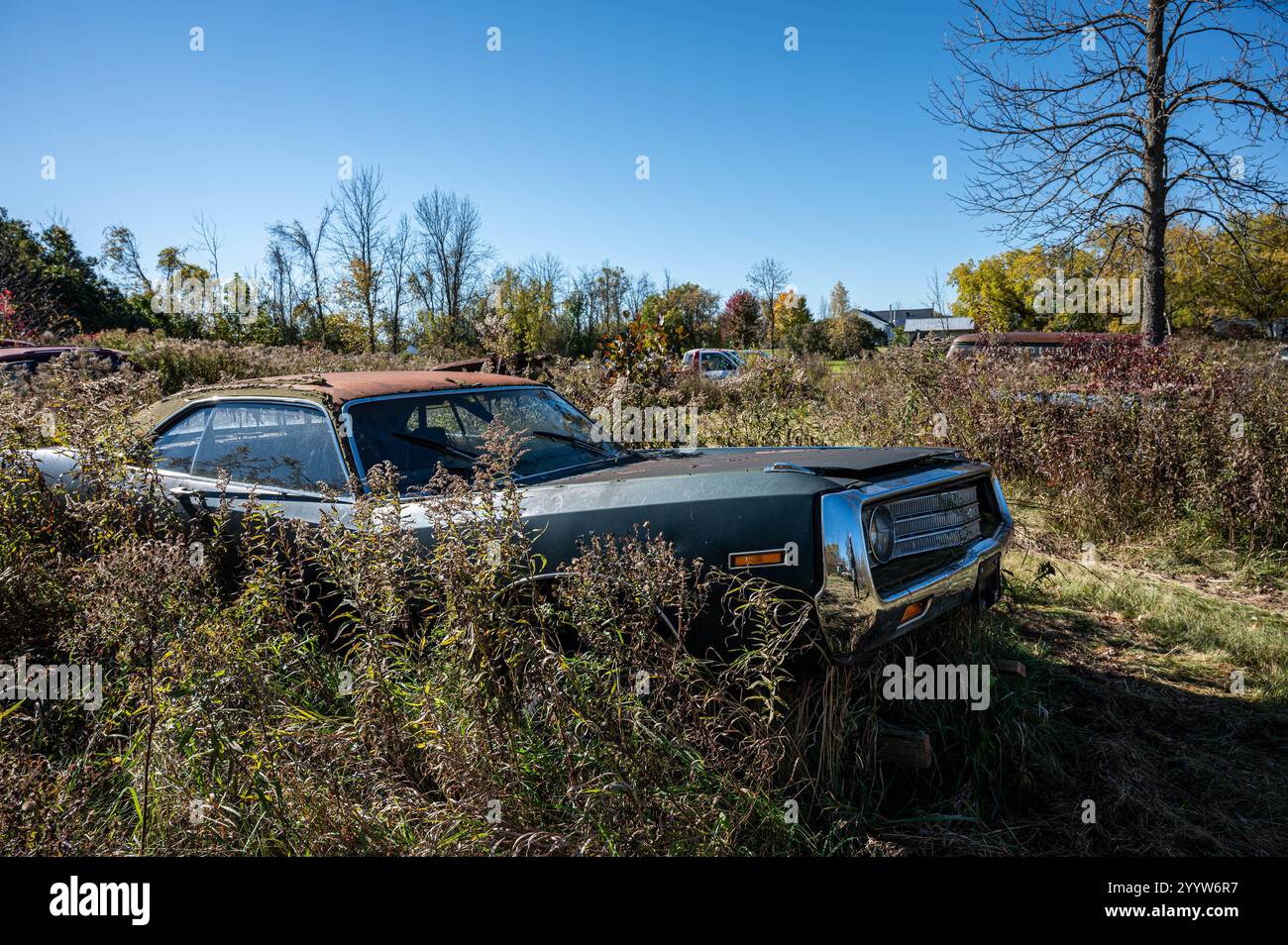 La vecchia macchina Chrysler si trova abbandonata e arrugginita in un campo di spazzatura Foto Stock