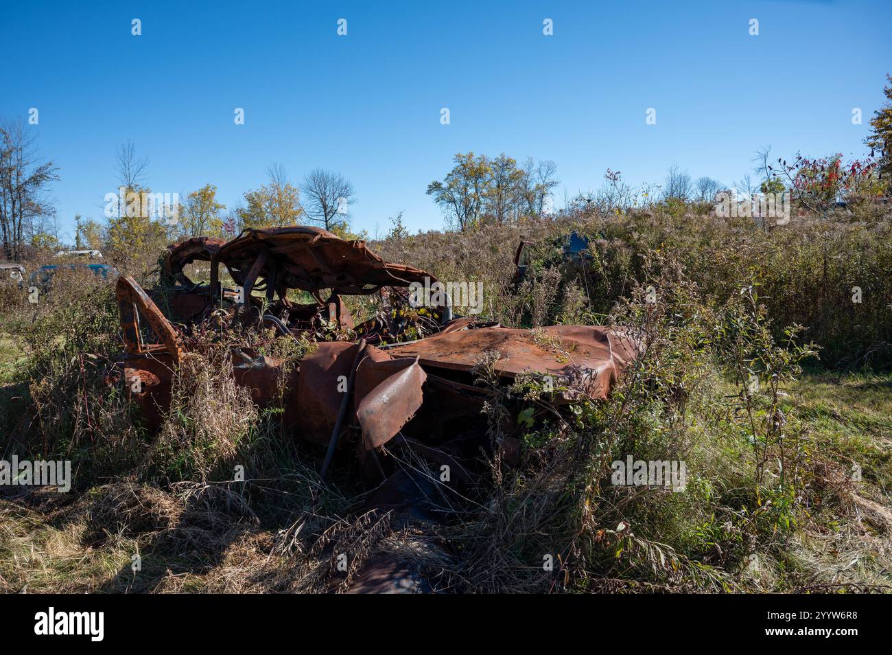 Macchina molto vecchia e arrugginita ora con erbacce e erba alta Foto Stock