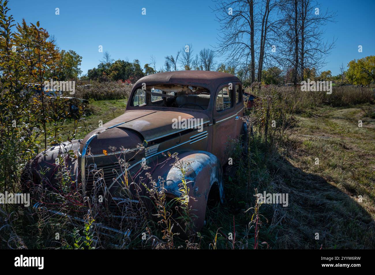 Auto d'epoca arrugginite nel campo Foto Stock