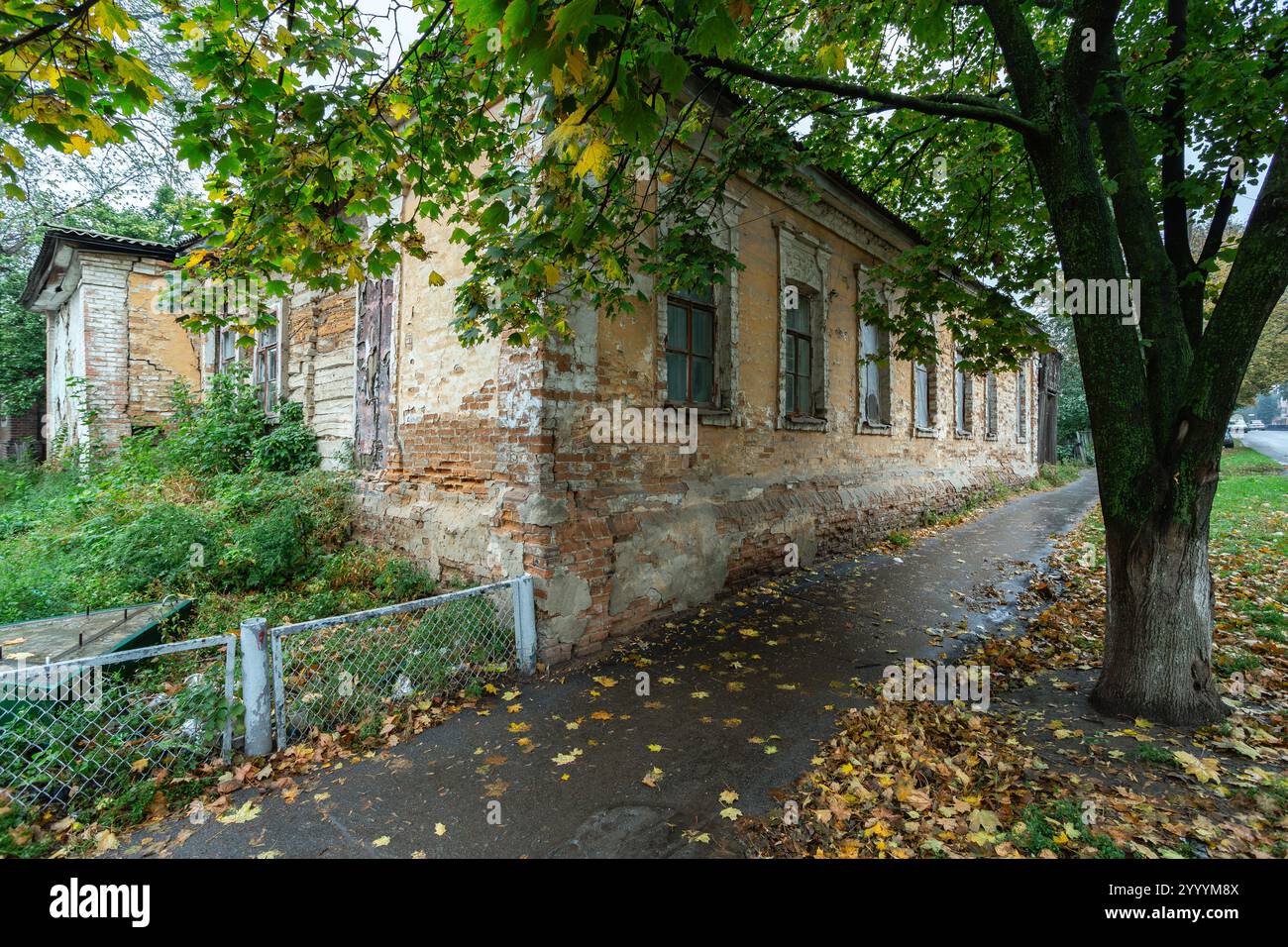 Una vecchia casa in mattoni abbandonata con intonaco sbucciato e finestre rotte circondate da vegetazione ricoperta e foglie autunnali. Rami di alberi e pa stretto Foto Stock