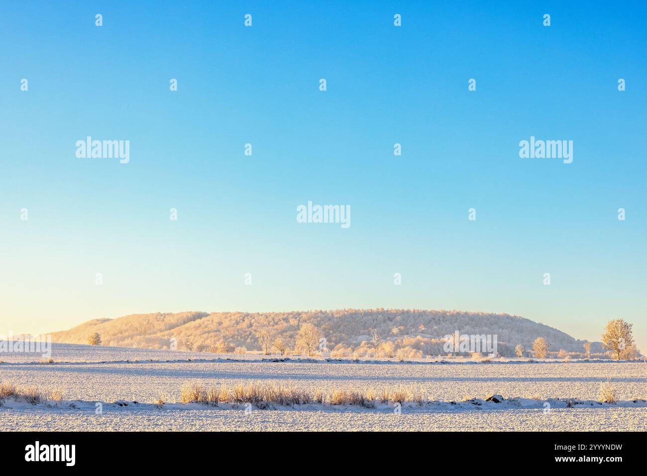 Ammira la montagna Ålleberg Table, che fa parte del Global Geopark UNESCO in Svezia Foto Stock