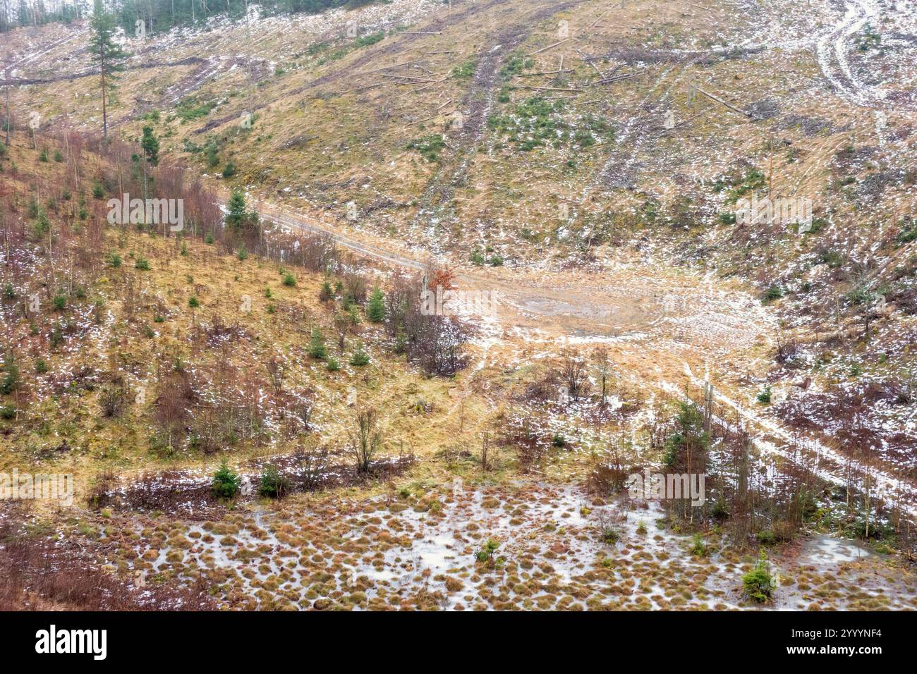 Area di sgombero con strade di legname in una valle Foto Stock