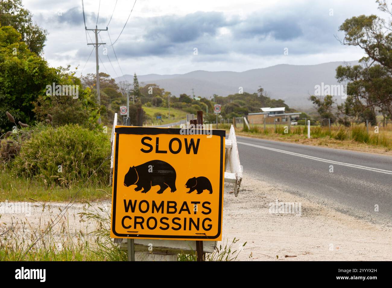 Bicheno, Tasmania - 23 dicembre 2024: Segnale di avvertimento a lato della strada per il vombato comune della Tasmania Vombatus ursinus tasmaniensis adulto e giovane attraversamento Foto Stock