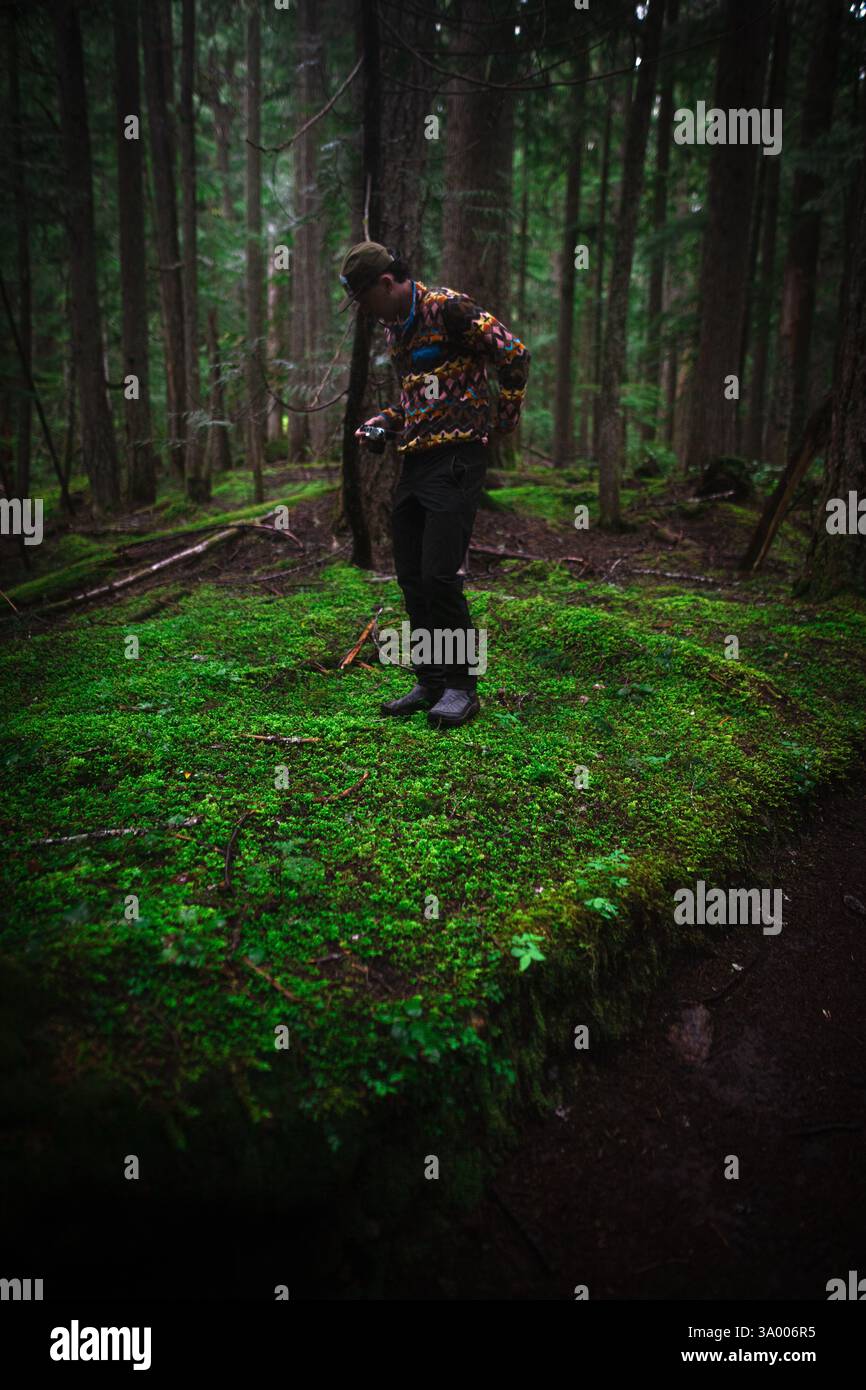 Una persona sta su un muschio verde vibrante nei fitti boschi degli Stati Uniti nord-occidentali. Appaiono a fuoco mentre scattano foto in mezzo a una torre torreggiante Foto Stock