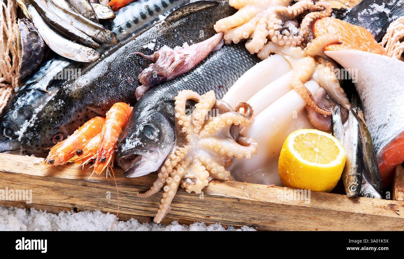 Specialità di pesce. Pesce fresco, gamberi, ostriche e polpo su sfondo grigio. Foto Stock