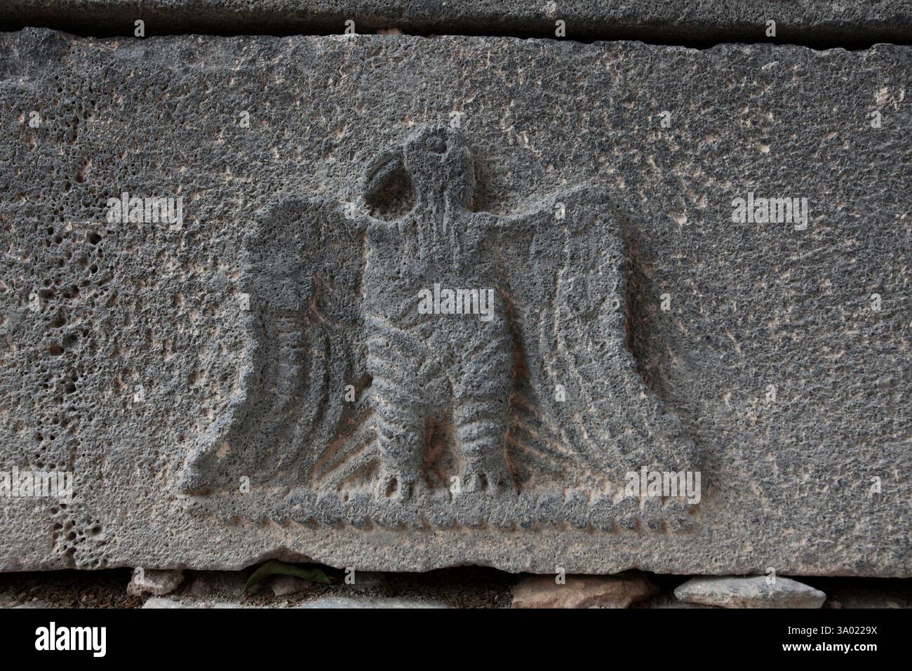 Una figura scolpita raffigurante un'aquila di un antico sarcofago basalto esposta nel museo archeologico di Umm Qais situato in un edificio storico ristrutturato in cui sono stati scoperti reperti nel corso degli scavi nell'antico sito di Gadara (Umm Qays) che era un centro della cultura greca nella regione durante il periodo ellenistico e romano. Nel nord-ovest della Giordania Foto Stock