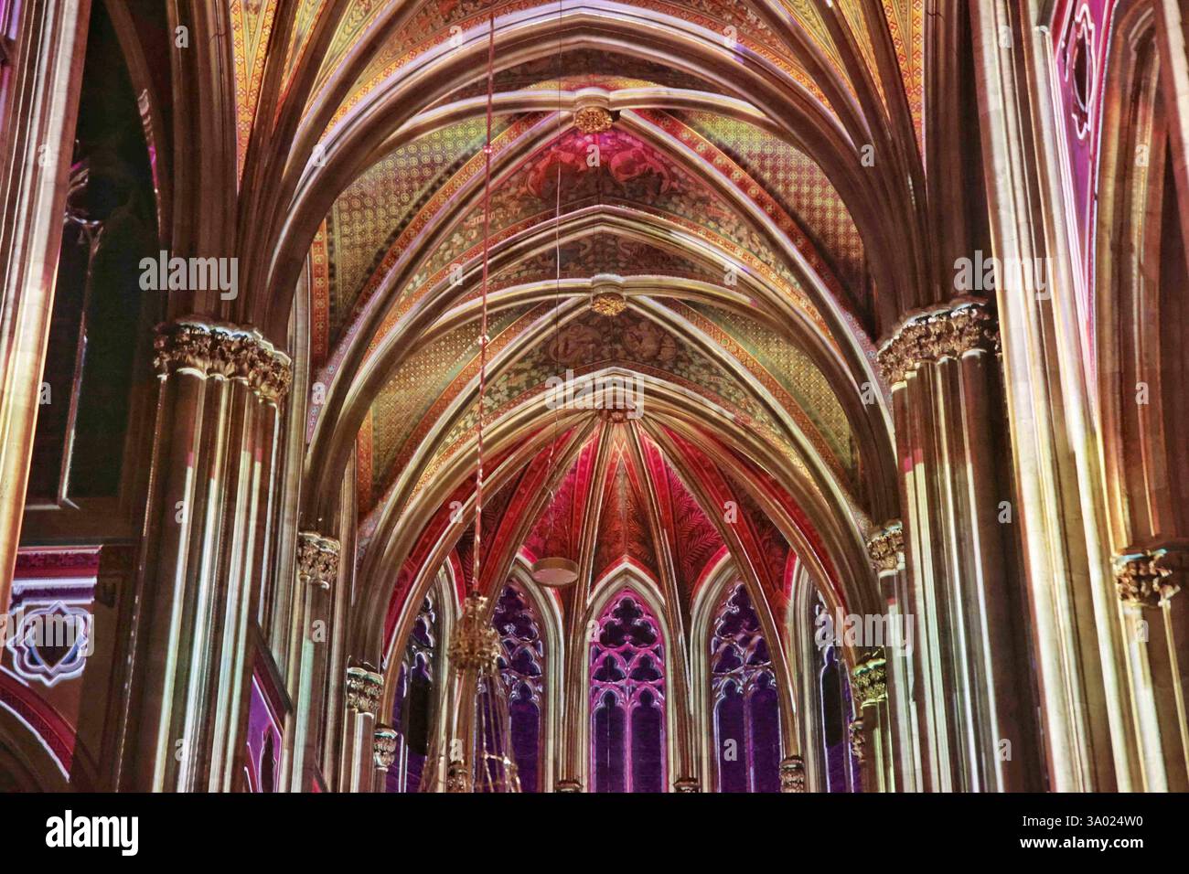 02.03.2025, Wien, AUT, Unterwegs in Wien, Symbolbild, Verschiedene Themenbilder, Themenbild, im Bild Light of Creation, Votivkirche, Lichtershow, Wien, Ausflugsziel, Nachtaufnahmen, Historisches Gebaeude, *** 02 03 2025, Vienna, AUT, On the Way in Vienna, immagine simbolo, varie immagini a tema, quadro a tema, nell'immagine luce della creazione, Votivkirche, spettacolo di luci, Vienna, destinazione dell'escursione, scatti notturni, edificio storico, Foto Stock