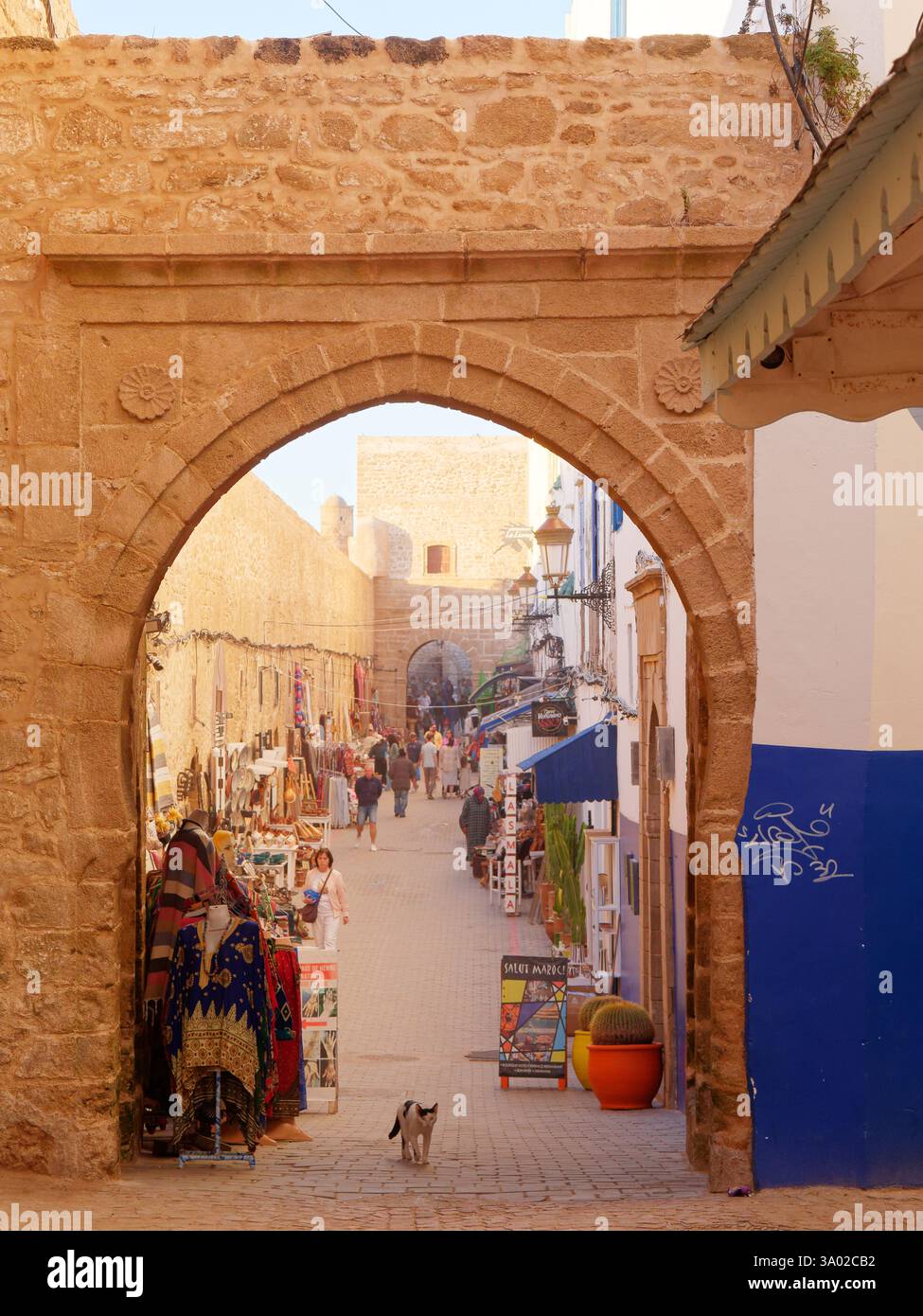 Cat cammina attraverso un arco in una stretta strada piena di negozi di souvenir una sera nella Medina di Essaouria, in Marocco. Febbraio/marzo 2025 Foto Stock
