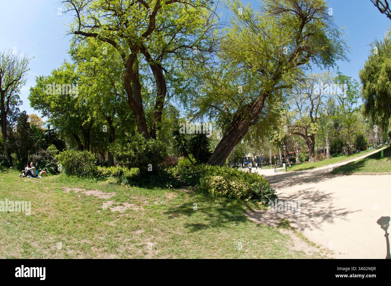 Primavera al Parc de la Ciutadella, lo storico giardino pubblico di Barcellona, Ciutat Vella, Spagna Foto Stock