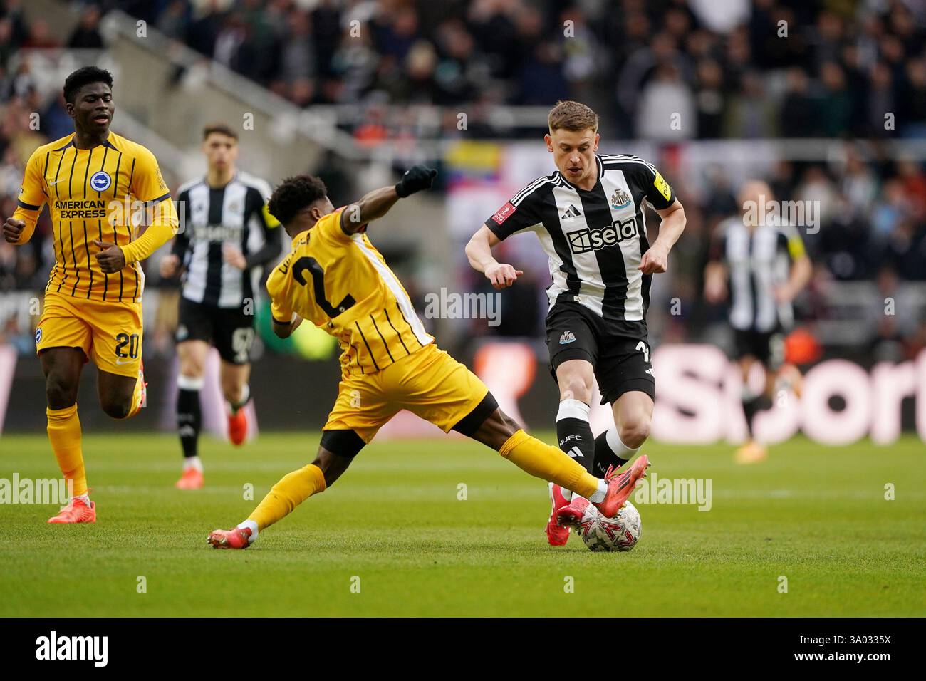 Harvey Barnes (a destra) del Newcastle United e Tariq Lamptey di Brighton e Hove Albion si battono per il pallone durante la partita del quinto turno della Emirates fa Cup a St James' Park, Newcastle upon Tyne. Data foto: Domenica 2 marzo 2025. Foto Stock