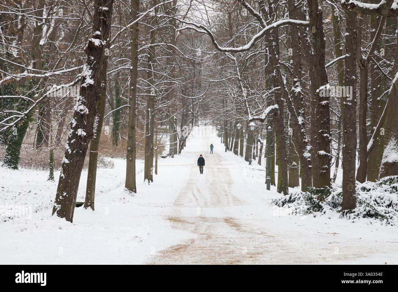 Passeggiata invernale nel parco Lazienki di Varsavia, Polonia. Foto Stock