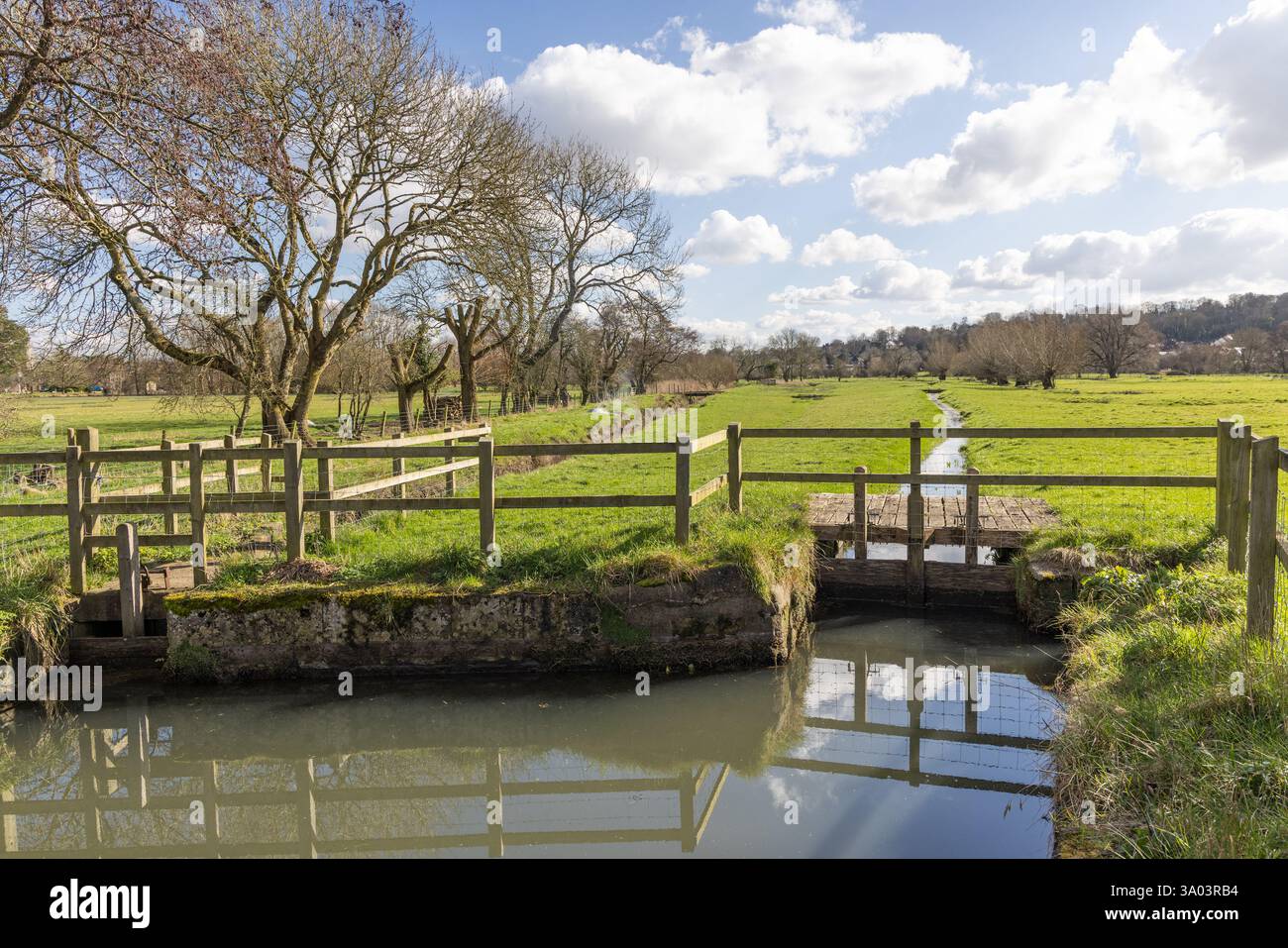 Harnham Water Meadows è un sito di speciale interesse scientifico che funge da difesa dalle inondazioni per Salisbury, Salisbury, Wiltshire, Inghilterra, Regno Unito Foto Stock