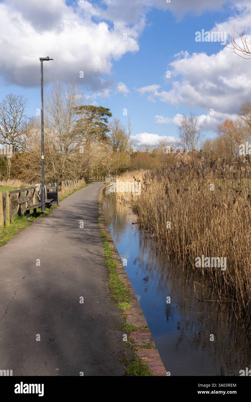 Sentiero di Harnham Water Meadows. Sito di speciale interesse scientifico che funge da difesa dalle inondazioni per Salisbury, Salisbury, Wiltshire, Inghilterra, Regno Unito Foto Stock