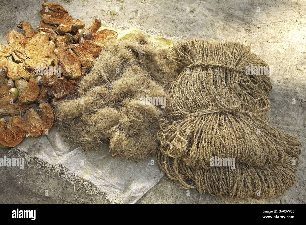 Tre fasi di cocco e corde, India, Asia Foto Stock