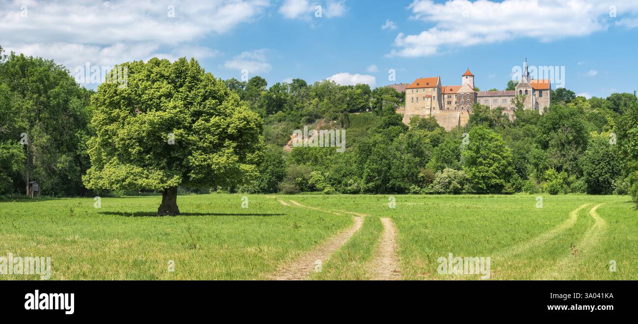 Percorso di campagna attraverso il paesaggio nella valle di Saale vicino a Naumburg in primavera, di fronte a un tiglio solitario in fiore, dietro il castello di Goseck, Naumburg, Saxo Foto Stock