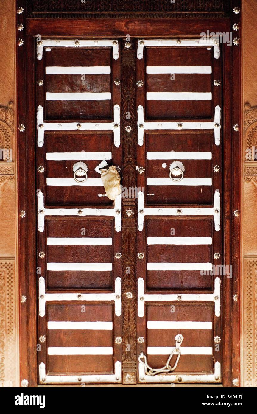 Vecchia porta in legno haveli sigillata, Bikaner, Rajasthan, India, Asia Foto Stock