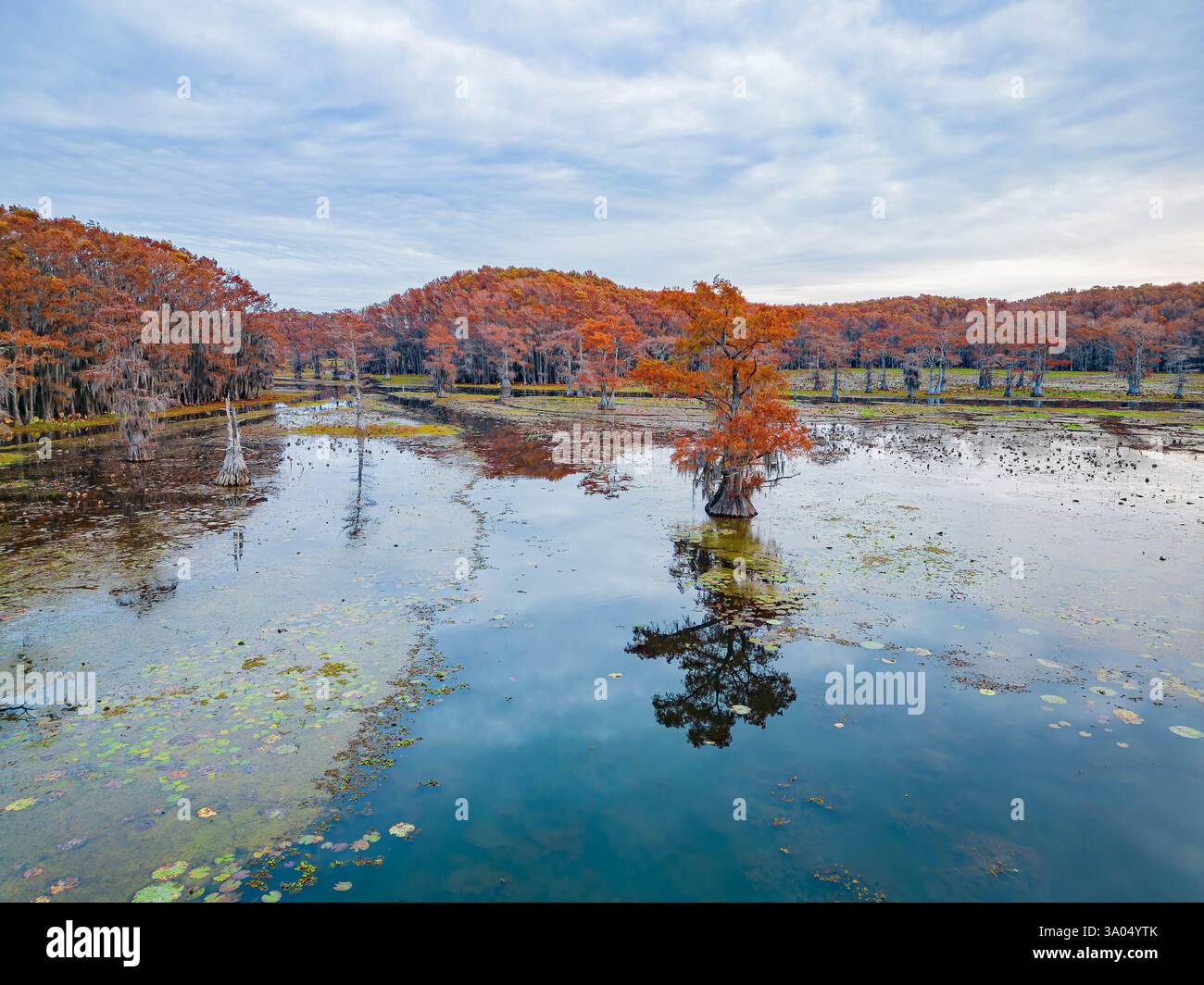 Vista aerea del parco statale del lago Caddo, splendidi colori autunnali del Texas. Foto Stock