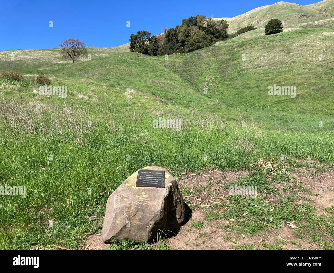 In primo piano si trova una targa di bronzo intitolata Boccardo Trail. Colline ondulate e alberi sparsi formano lo sfondo sereno - San Jose, California, Foto Stock