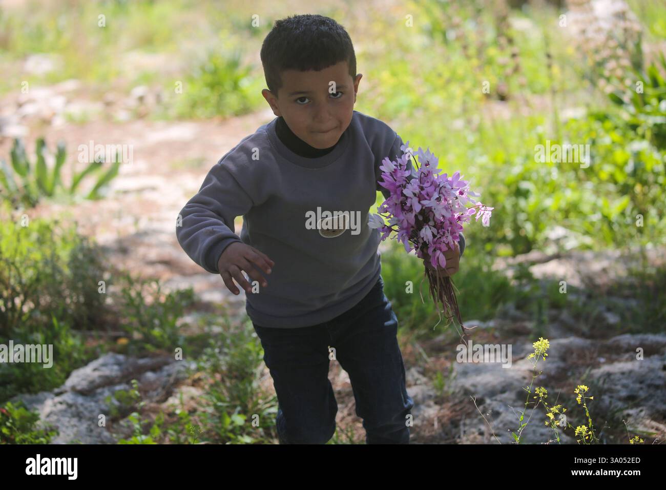 Tulkarm, Palestina. 2 marzo 2025. Un ragazzo palestinese sfollato prende i fiori mentre la sua famiglia fugge dal campo profughi di Nur Shams a est di Tulkarm in mezzo a un'offensiva di una settimana nella Cisgiordania occupata. Israele ha lanciato una grande incursione militare nella Cisgiordania occupata che ha sfollato più di 40.000 palestinesi e distrutto decine di case. Credito: SOPA Images Limited/Alamy Live News Foto Stock