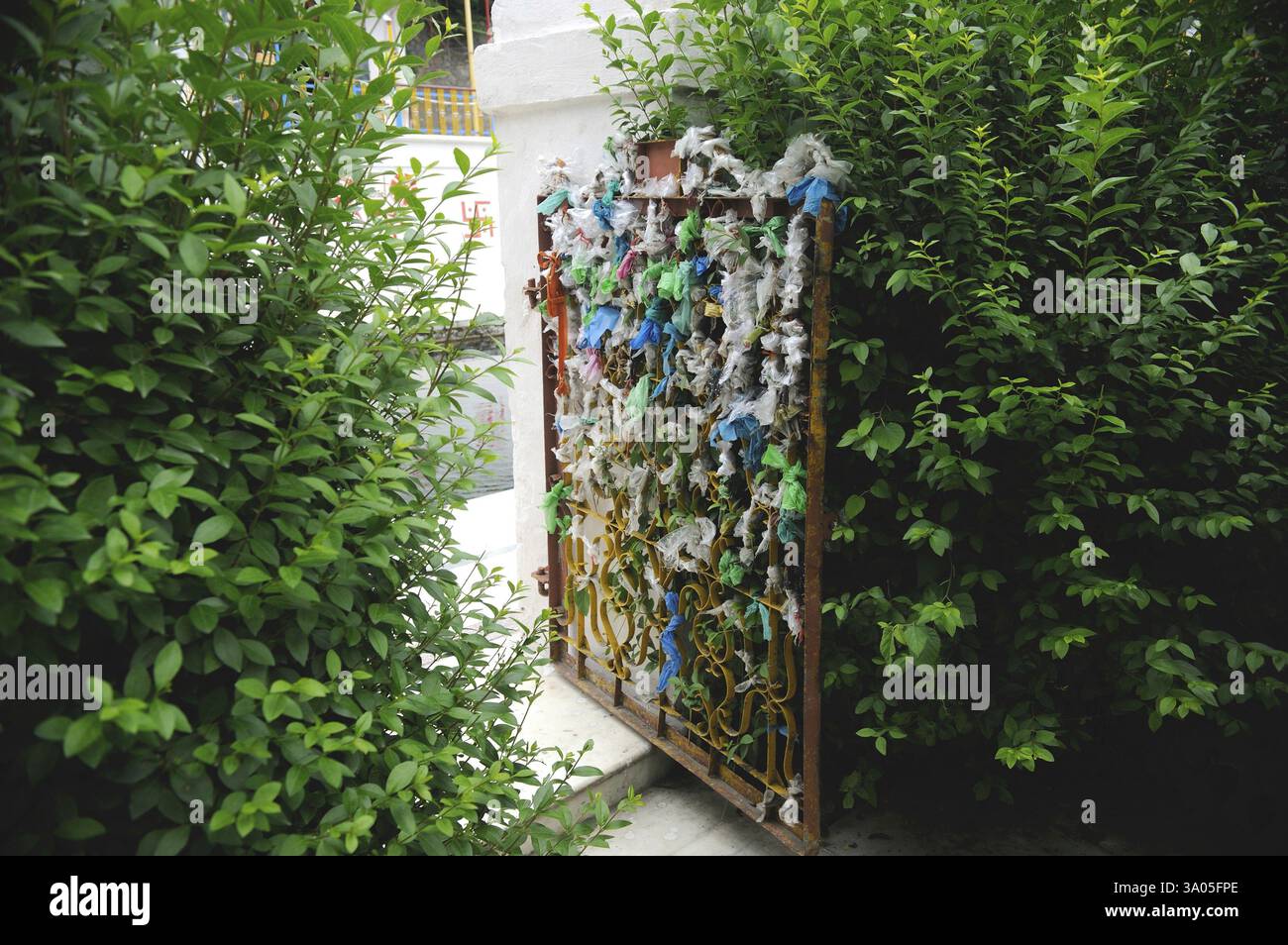 Porta dei desideri nel tempio di Anantnag, Jammu e Kashmir, India, Asia Foto Stock Porta dei desideri nel tempio di Anantnag, Jammu e Kashmir, India, Asia Foto Stock