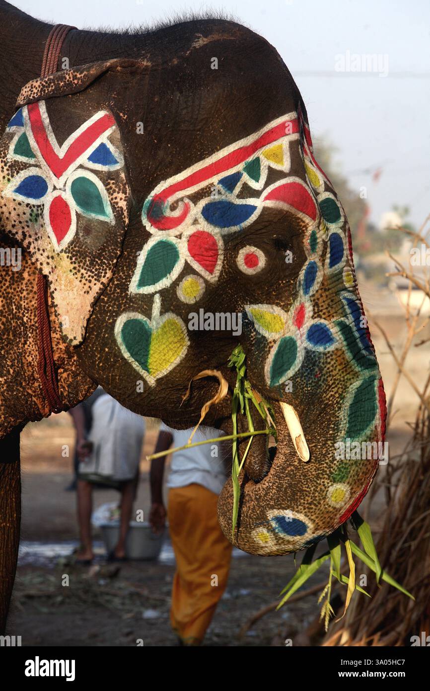 Disegni colorati sulla faccia dell'elefante visti per le strade di Ahmedabad, Gujarat, India, Asia Foto Stock