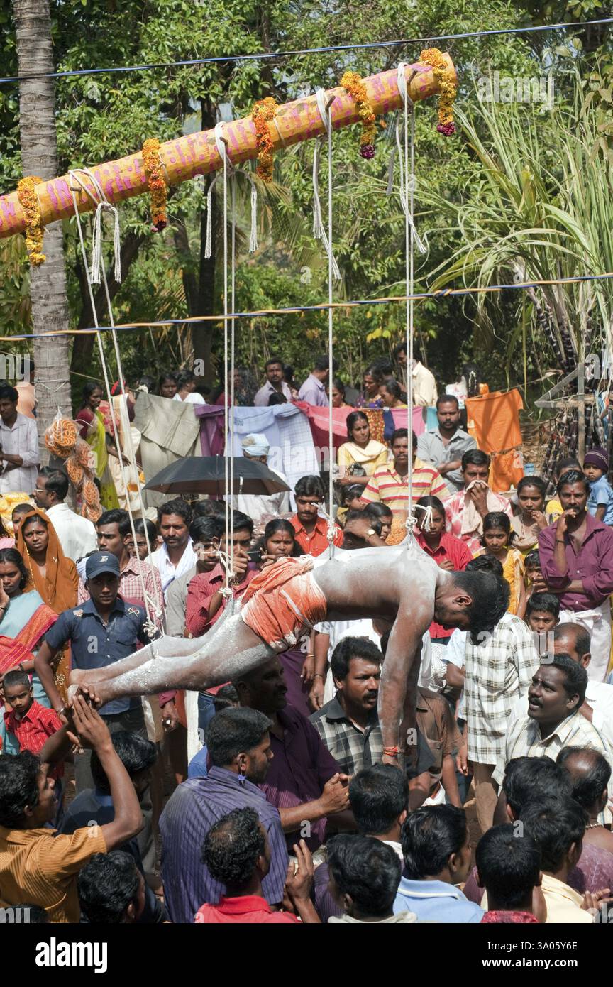 Devoto compiacente voto impiccandosi con ganci al festival Thaipusam, Kerala, India NOMR Foto Stock Devoto compiacente voto impiccandosi con ganci al festival Thaipusam, Kerala, India NOMR Foto Stock