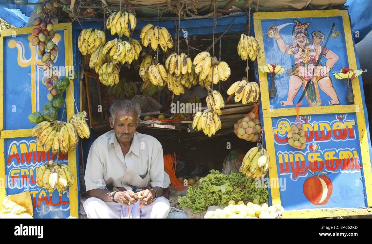 Il chiosco della frutta, Kodaikanal popolarmente conosciuto come Kodai, si trova sulle colline di Palani a 2133 metri sul livello del mare, Tamil Nadu, India, Asia Foto Stock
