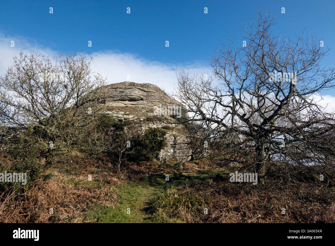 Regno Unito, Inghilterra, Devonshire, Dartmoor National Park. Blackingstone Rock vicino Bridford. Foto Stock