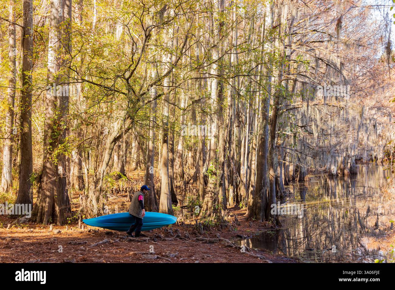 Texas, 23 novembre 2023 - le persone amano fare kayak nel Caddo Lake State Park durante l'autunno. Foto Stock