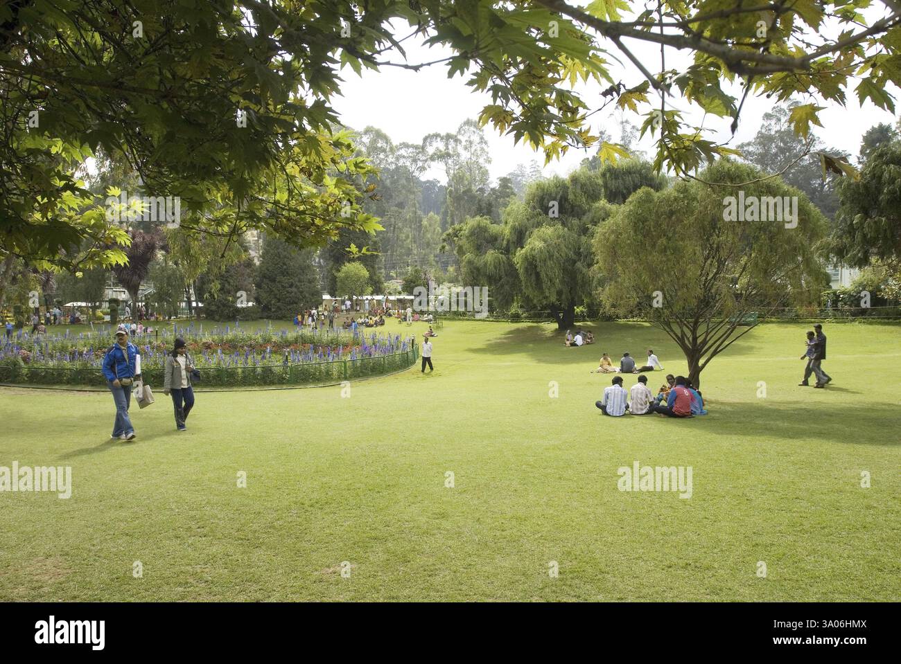 Il giardino botanico del governo, che fu progettato nel 1847 dal marchese di Tweeddale a Udhagamandalam Ooty, Tamil Nadu Foto Stock