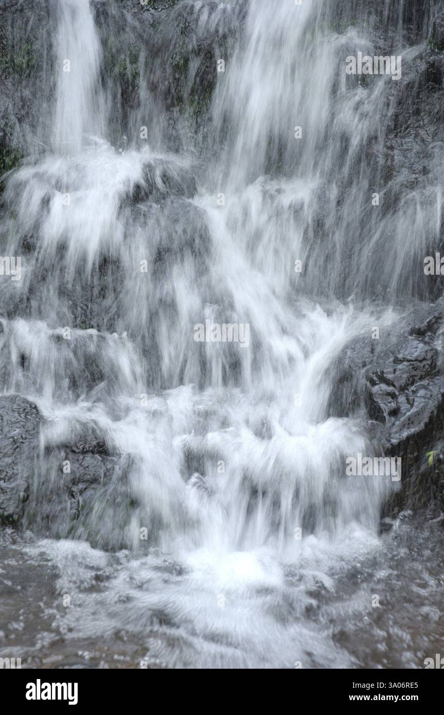 Decorativo, in legno, porta, santa, maria, chiesa, Madurai, arco, archi, cristianesimo, cristianesimo, cristiani, chiese, colore, colori, design, porte, Foto Stock