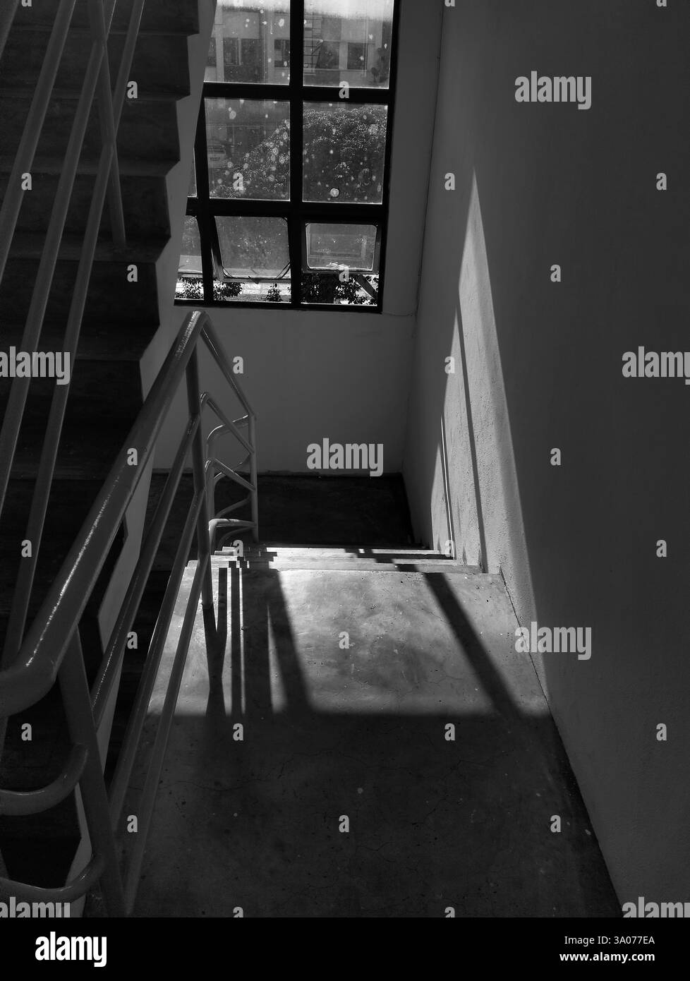 Prima foto in bianco e nero dello smartphone, per favore commenta e vedi cosa posso migliorare da lì. Grazie - Immagine stock catturata con smartphone