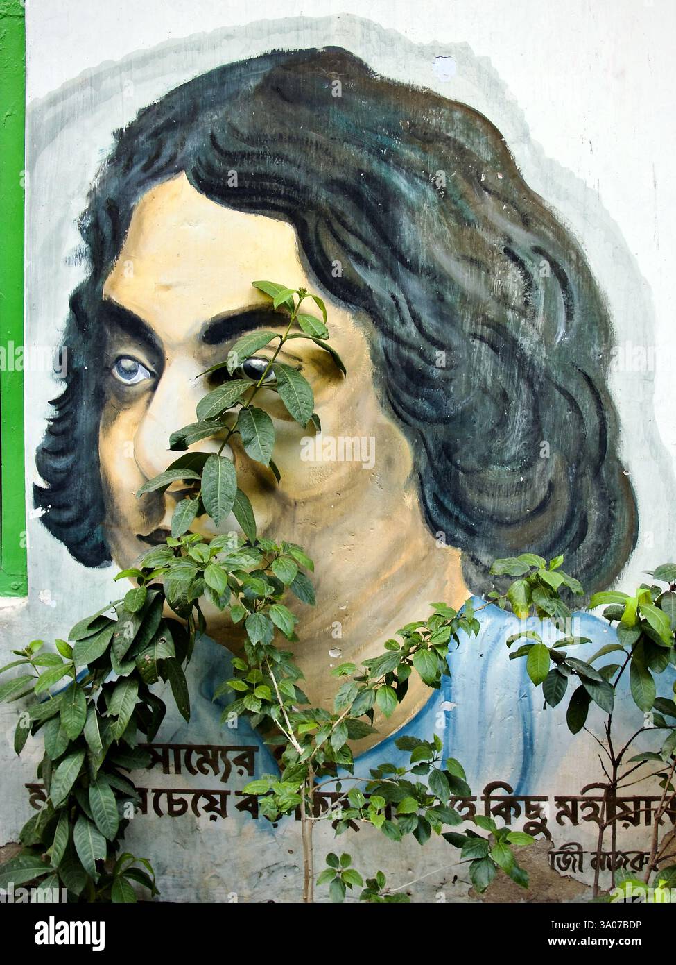 Murale di Kazi Nazrul Islam a Kolkata, raffigurante il poeta rivoluzionario e l'icona nazionale del Bengala, in parte oscurato da piante troppo coltivate. Foto Stock