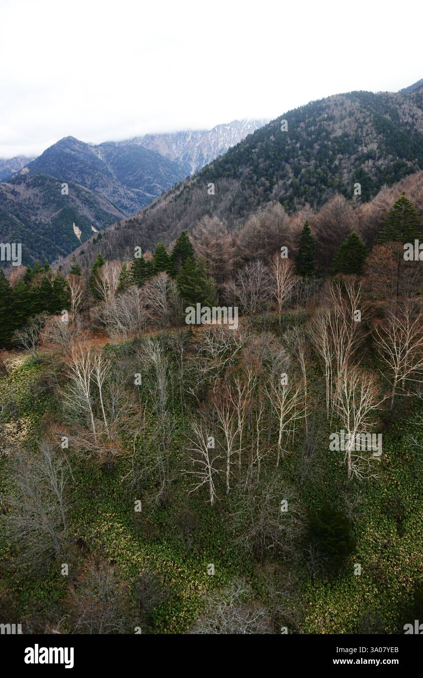 Vista dalla funivia di Shinatoka nelle Alpi giapponesi, prefettura di Gifu, Giappone. Foto Stock