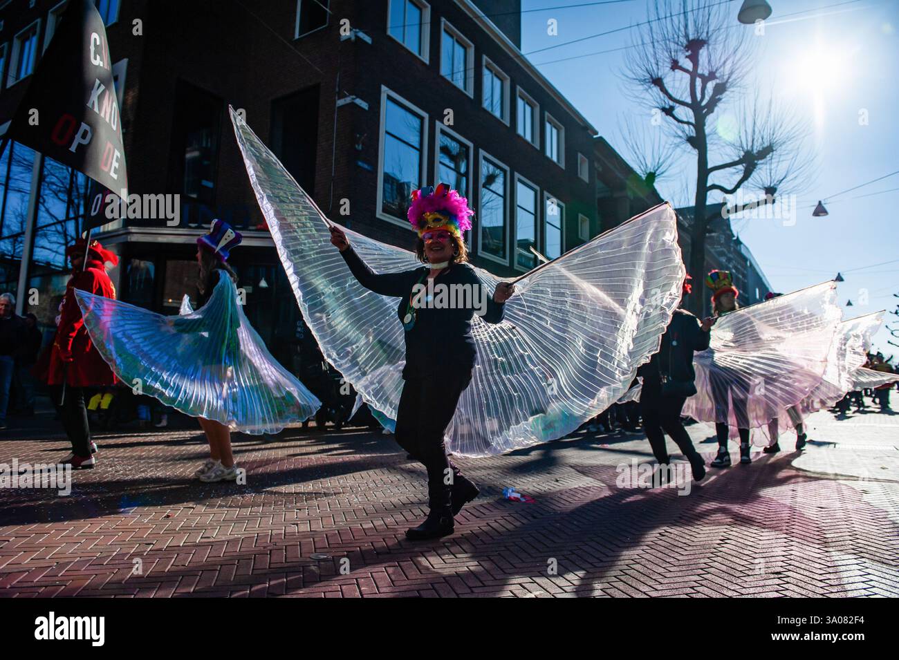 Nijmegen, Paesi Bassi. 2 marzo 2025. Le persone si vedono sfilare con grandi ali trasparenti. A Nijmegen, la sfilata di carnevale consiste in un galleggiante trainato da un veicolo elettrico pieno di principi e principesse dell'anno, seguito da persone vestite con costumi colorati e bande musicali. Credito: SOPA Images Limited/Alamy Live News Foto Stock