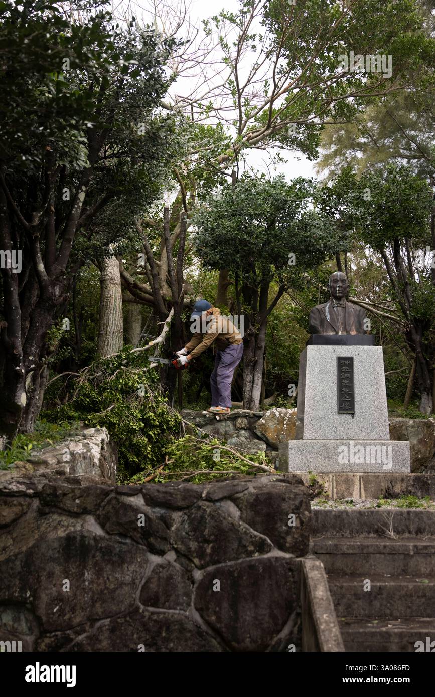 Un funzionario del governo giapponese taglia un albero durante un progetto di abbellimento come parte di Iron Fist 25 a Okinoerabujima, Okinawa, Giappone, 23 febbraio 2025. Iron Fist è un esercizio bilaterale annuale progettato per aumentare l'interoperabilità e rafforzare le relazioni tra il corpo dei Marines degli Stati Uniti, la Marina degli Stati Uniti e la forza di autodifesa terrestre del Giappone. Il 31st MEU opera a bordo di navi della USS America Amphibious Ready Group nella 7th Fleet area of Operations, la più grande flotta numerata schierata in avanti della Marina degli Stati Uniti, e interagisce regolarmente e opera con alleati e partner nel preservare un AN libero Foto Stock