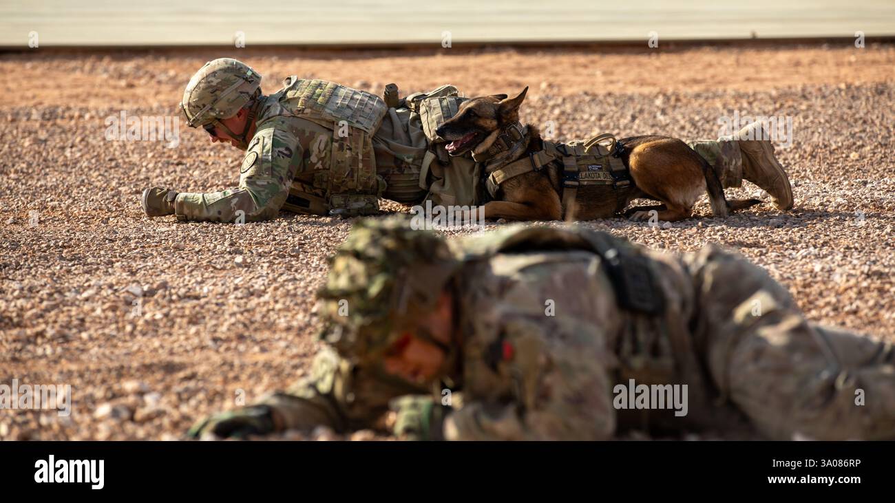 Il sergente Thorbjorn Moore e il suo MWD, LLakota, entrambi assegnati alla 10th Mountain Division, Task Force Armadillo, eseguono un giro alto 25 metri durante l'Expert Physical fitness Assessment (EPFA) presso al Tanf Garrison, Siria, 12 febbraio 2025. L'EPFA è una valutazione fisica incentrata sul combattimento condotta nell'uniforme da combattimento dell'esercito, stivali, corazzature e elmetto, consistente in diversi esercizi che testano la forza, la resistenza e la velocità necessarie per le operazioni militari. Queste valutazioni consentono anche ai membri della coalizione di essere efficaci moltiplicatori di forza per m Foto Stock