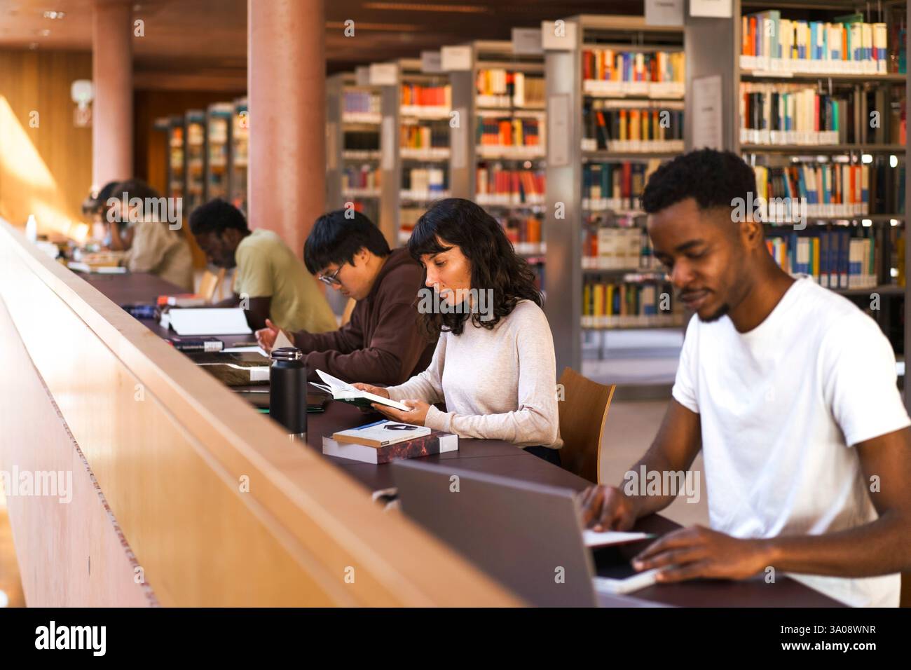 Gli studenti universitari maschi e femmine imparano mentre sono seduti alla scrivania in biblioteca Foto Stock