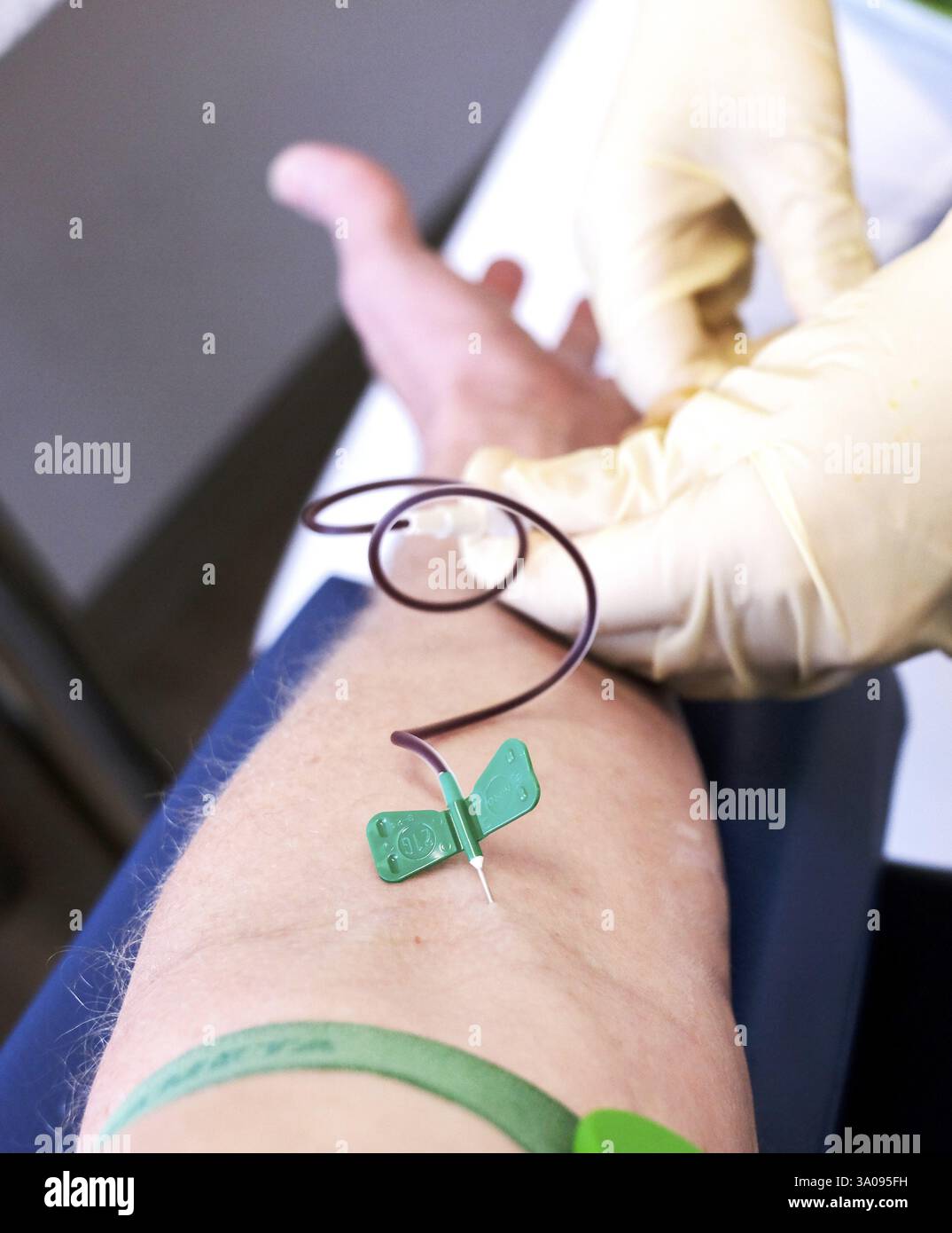 Prelievo di sangue in ospedale, donazione di sangue, donatore di sangue, donare sangue, valori ematici, controllo sanitario, chirurgia del medico, test di laboratorio, colesterolo, c Foto Stock