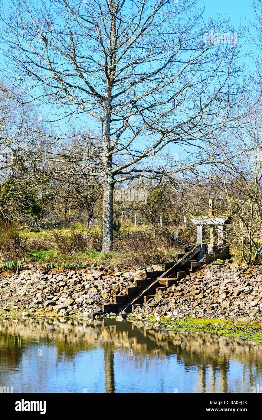 Sluice gate per il drenaggio di laghetti commerciali nel parco regionale la Brenne - le Bouchet, Rosnay, Indre (36), Francia. Foto Stock