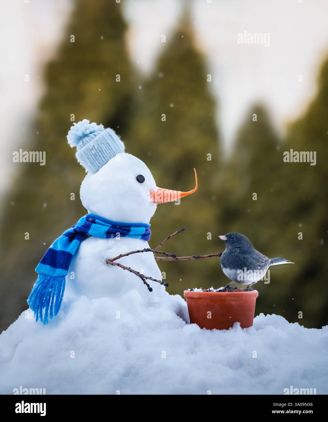 Piccolo uccello junco che mangia i semi di un piccolo pupazzo di neve in un giorno invernale innevato. Foto Stock