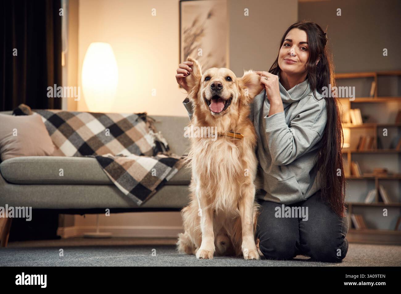 Tenendo le orecchie dell'animale. La donna è con il cane Golden retriever a casa. Foto Stock